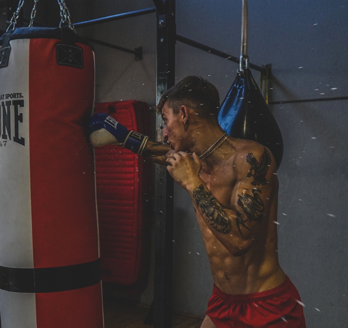 Piippo Boxing Academy di Filippo Fagiolini